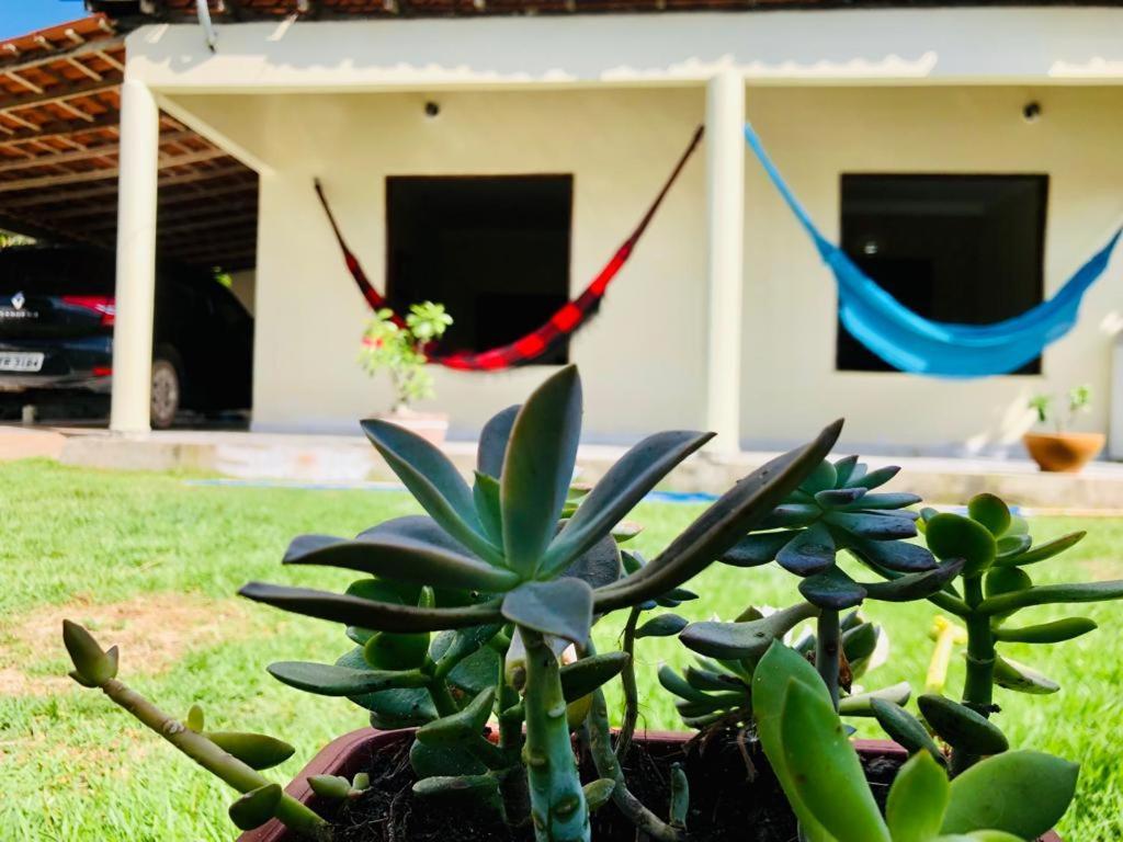 Casa Em Barreirinhas 01 Leilighet Eksteriør bilde