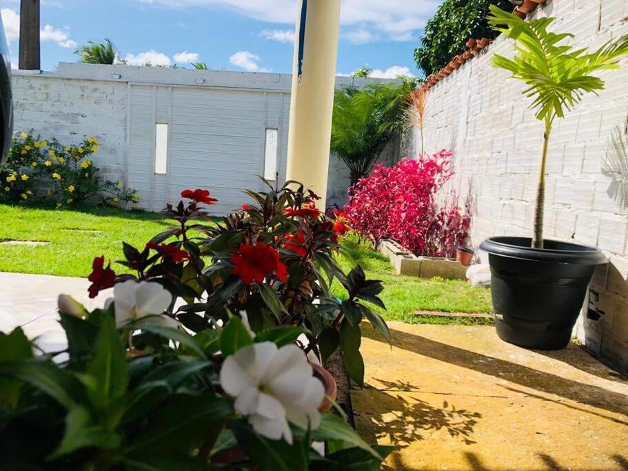 Casa Em Barreirinhas 01 Leilighet Eksteriør bilde